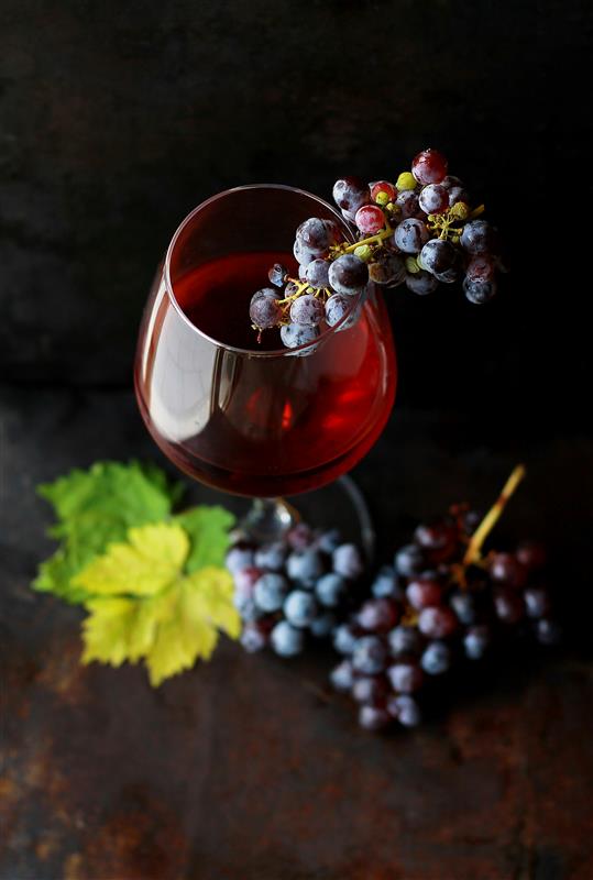 Read more about the article Discovering Czech Wine in the UK