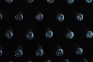 Read more about the article The Best Red Moravian Wine: A Hidden European Treasure