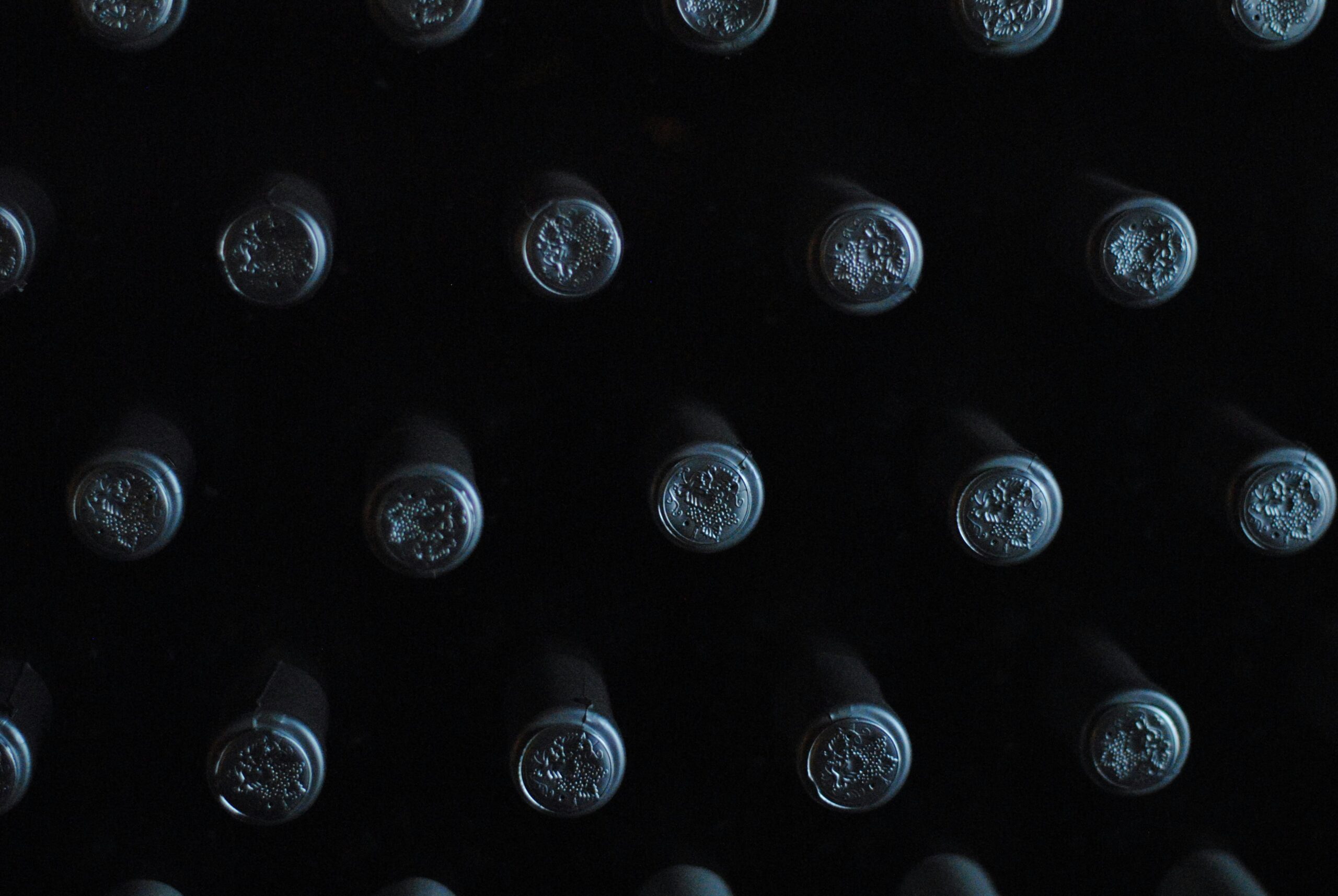 Read more about the article The Best Red Moravian Wine: A Hidden European Treasure