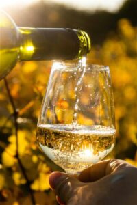 Read more about the article What is Czech White Wine Like