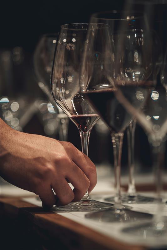 Read more about the article Pinot Noir: The Elegant Red Wine Loved Around the World