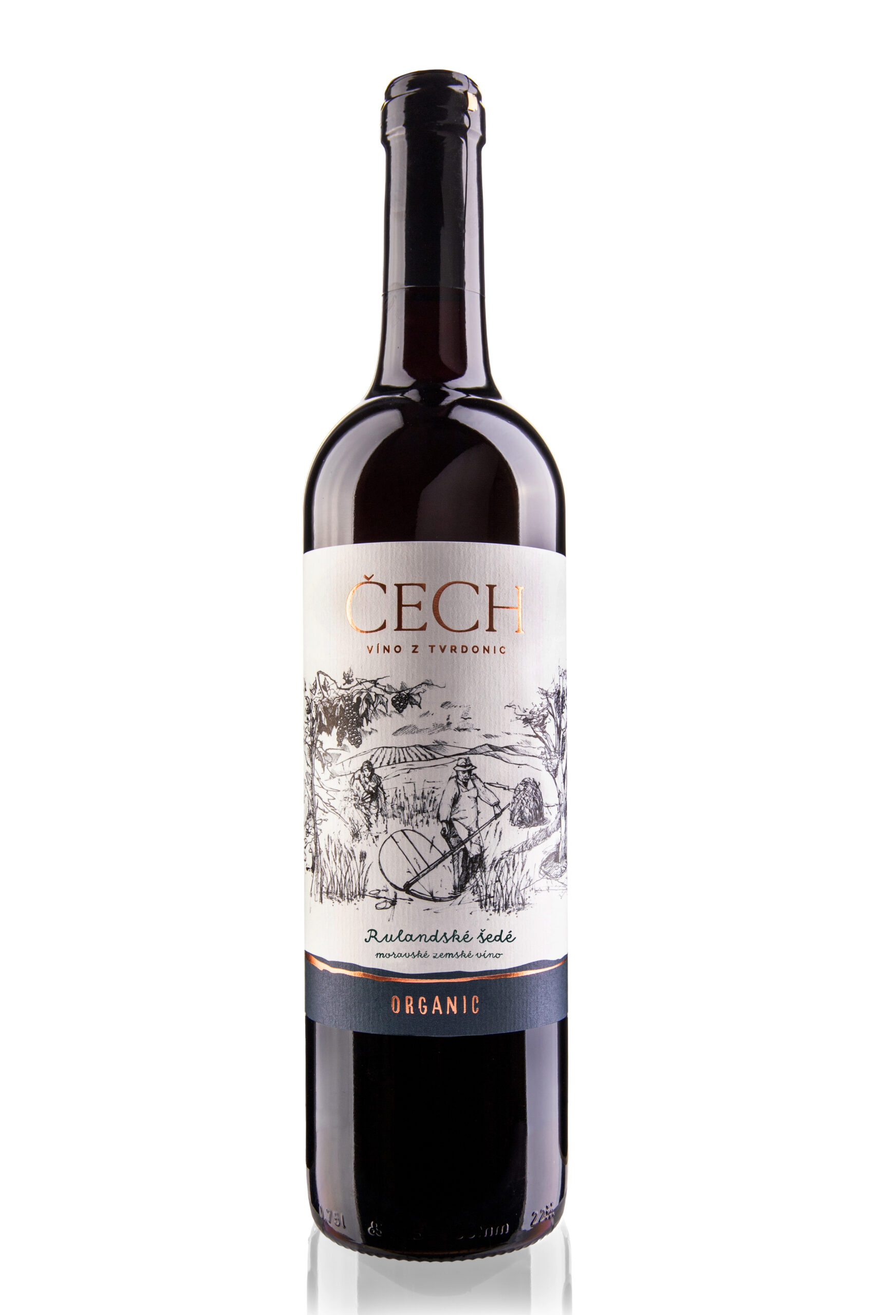 Rulandske Sede Pinot Gris From WInery Cech