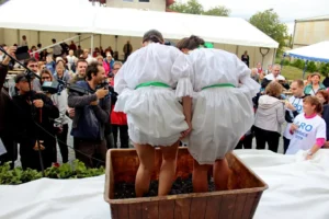 Read more about the article Grape Stomping by Foot: A Taste of Czech Wine Tradition in Boršice